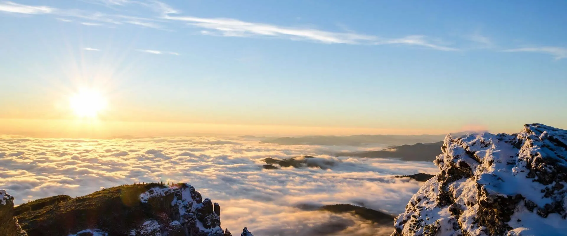 Dependable quality, on-time delivery and trustworthy customer support